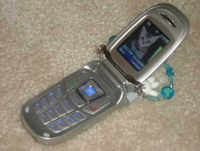 c0004139_16572770.jpg