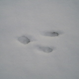 c0047689_002449.jpg