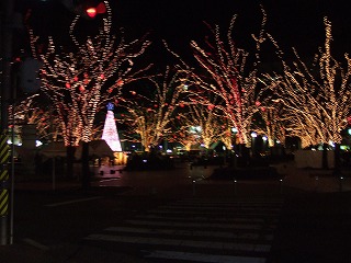 c0038611_16164072.jpg