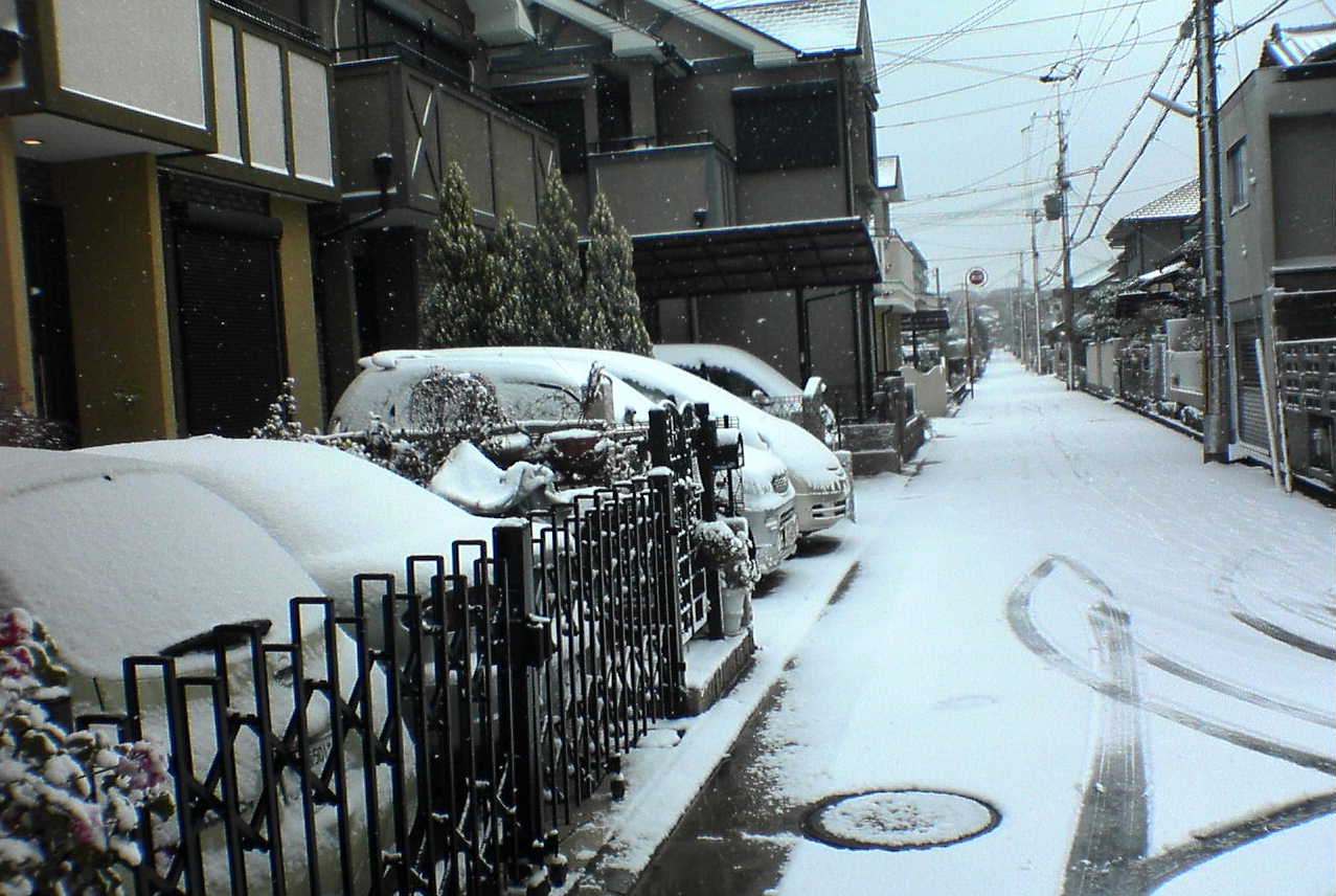 大雪ビックリでしたね・・・_a0059812_22565811.jpg