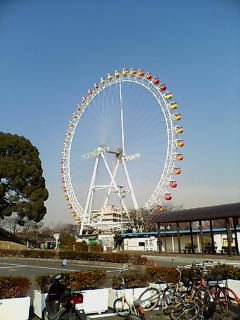 f0023313_10590.jpg