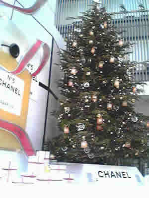 d0015919_2344640.jpg