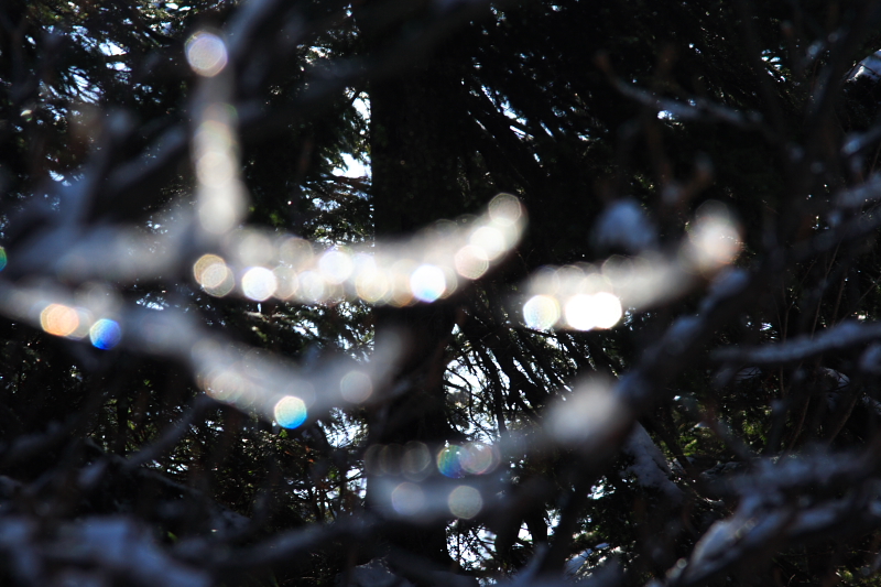 c0044720_7111369.jpg