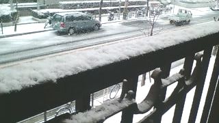 雪だー！_c0057946_1961144.jpg