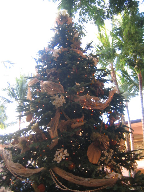 e0076257_10591921.jpg