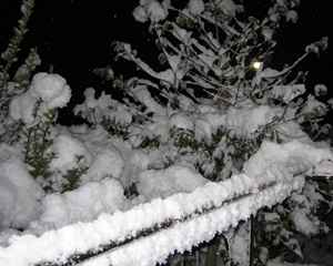 a0059976_21522273.jpg