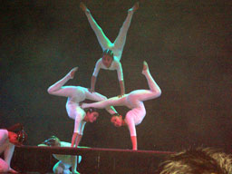 c0065496_2383636.jpg