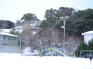 師走の雪_c0052304_11444139.jpg