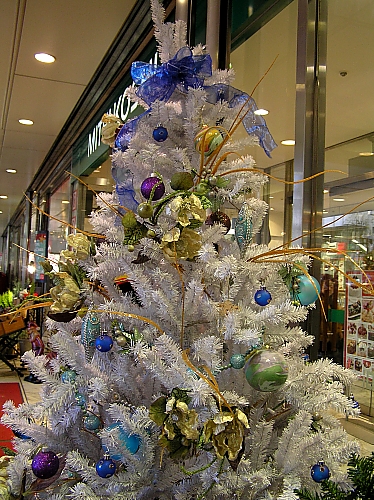 クリスマスは大変・前編_b0067012_1125643.jpg