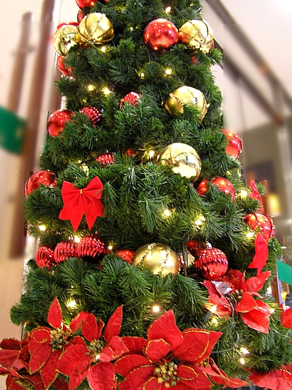 クリスマスは大変・前編_b0067012_1183772.jpg