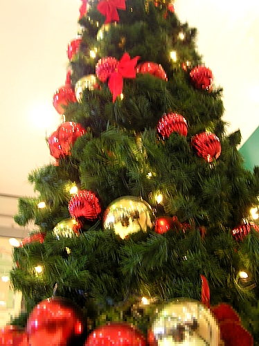 クリスマスは大変・前編_b0067012_1195472.jpg