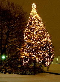 c0014117_18185151.jpg