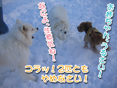 a0044521_19261341.jpg