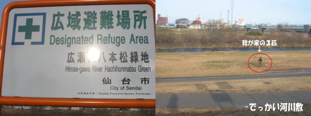 a0057438_2155659.jpg