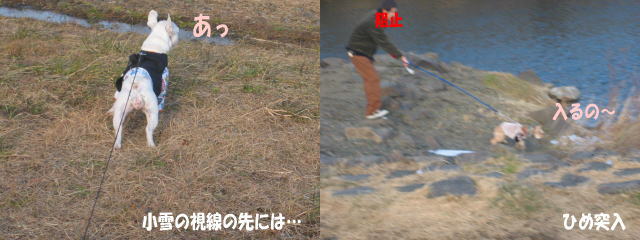 a0057438_2165599.jpg