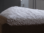 b0046357_1114115.gif