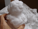 b0046357_1115219.gif