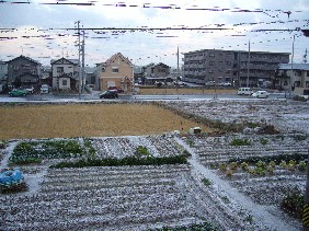 e0048357_13371844.jpg