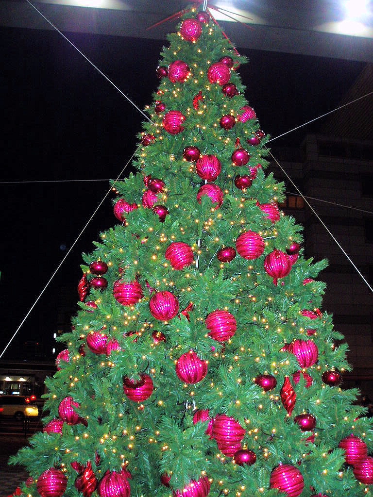 e0064158_23342139.jpg