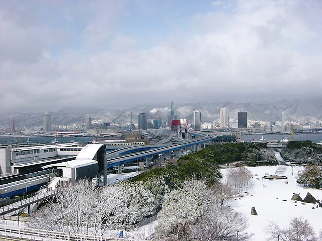 神戸の街に雪が降る…_f0022982_128816.jpg