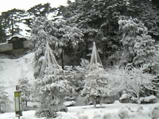 c0009992_23402533.jpg
