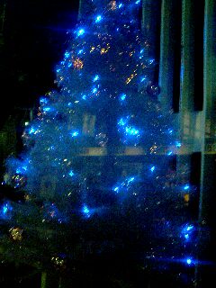 d0028195_16565730.jpg