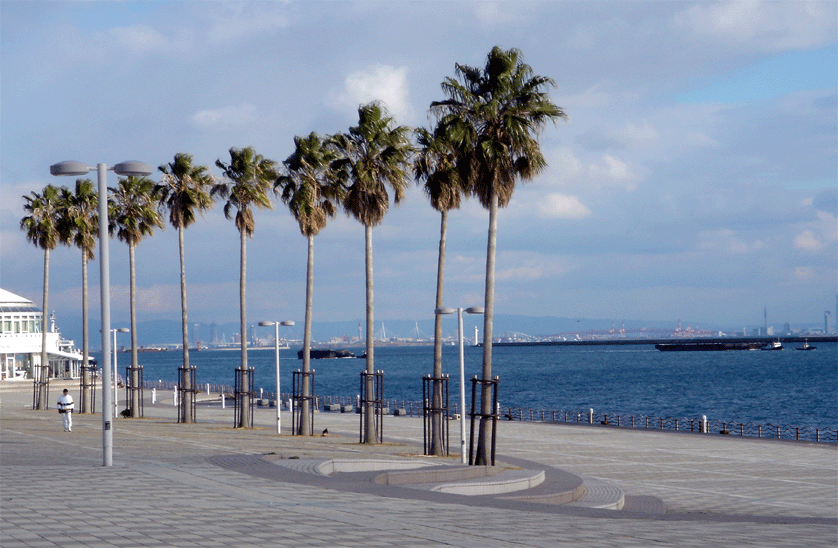 e0063003_23232351.gif