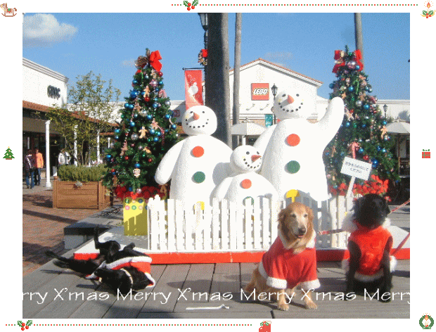 c0017311_21452478.gif