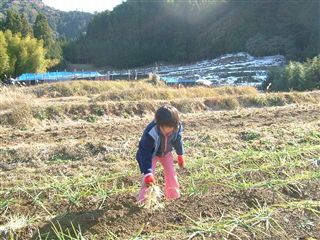 e0002820_13435326.jpg
