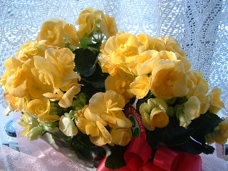 e0074833_1351552.jpg