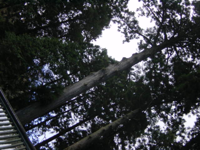 ぶらり一人旅♪_c0043737_0391837.jpg