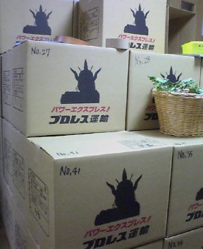 どうだ!_b0016049_1203230.jpg