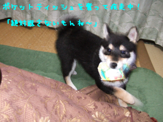 a0052750_13453993.jpg