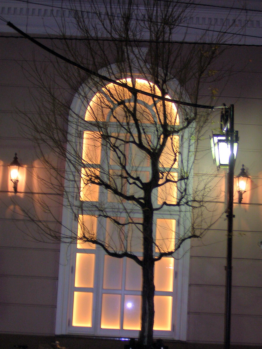 e0064158_02728.jpg