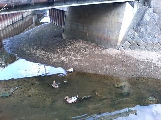 c0011169_19102487.jpg
