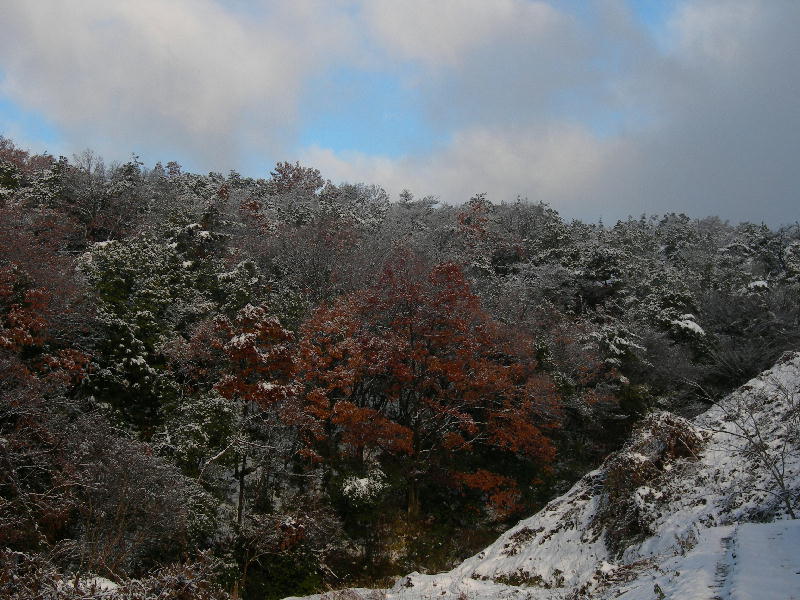 a0053771_18321612.jpg