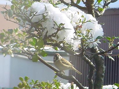 d0064990_1729444.jpg