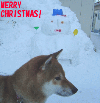 b0051291_22542695.gif