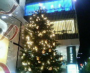 a0012000_0371982.jpg