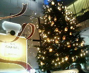 a0012000_0373353.jpg
