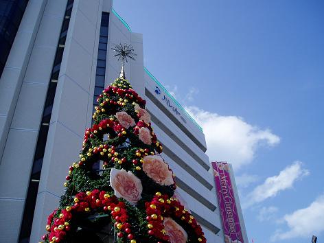 (続）沖縄の旅ー11  沖縄のクリスマスツリー_d0043602_935160.jpg