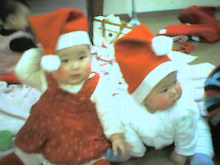 d0063903_858540.jpg