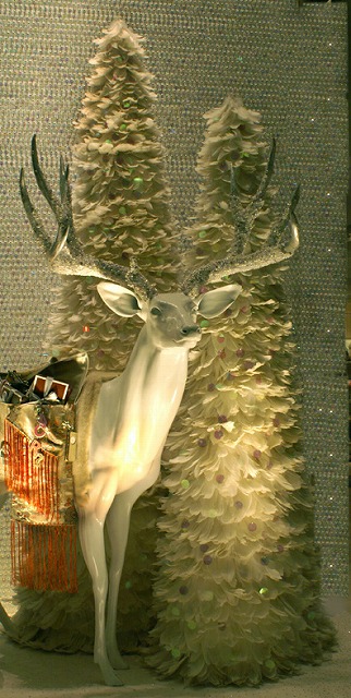 e0039703_1282337.jpg