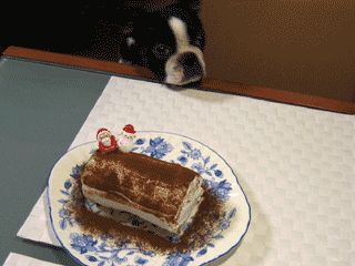 e0080117_22204538.gif