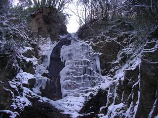 c0029332_20495823.jpg
