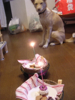 c0065643_2247444.jpg