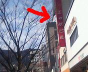 c0046846_16292449.jpg