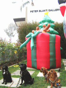 b0035453_157685.gif