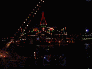 b0035453_168176.gif