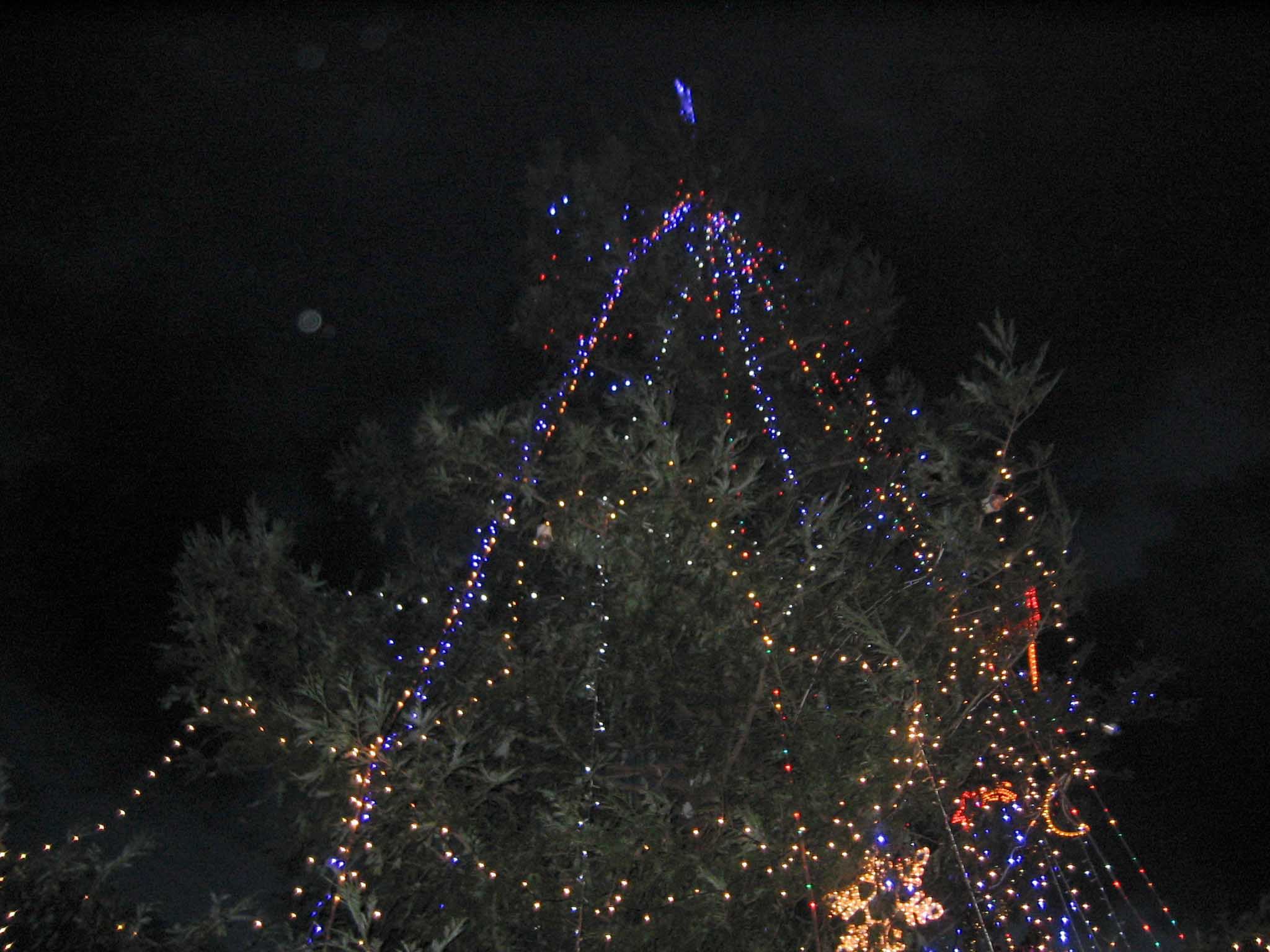 f0006253_15175072.jpg